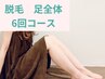 【脱毛人気No.1】足全体（ひざ上、ひざ下、膝）6回コース　¥72000→
