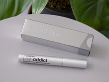 ネリネ(Nerine)/店販商品