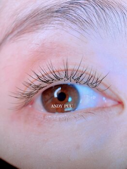 アンディープウ(ANDY PUU)/エクステ120本