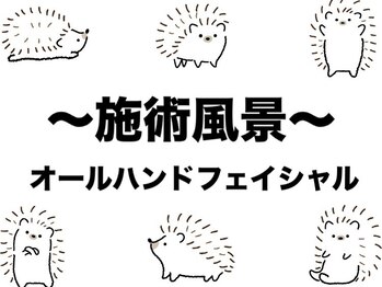 ハリーハリー(Harry＆Harry)/オールハンドフェイシャルの流れ