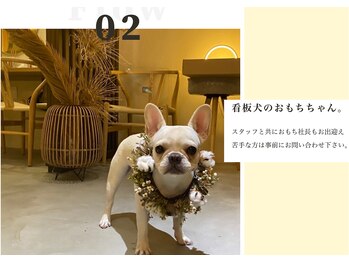 メゾンワン(maison one)/【 看板犬のおもち社長 】
