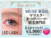ミューズ 東金店(MUSE)