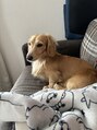 アイム 吉祥寺店(i'm) 犬大好きです！吉祥寺/アイブロウ/眉毛サロン