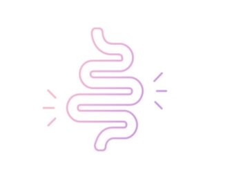 ソリデンテ 三軒茶屋/腸内環境を整えたい方