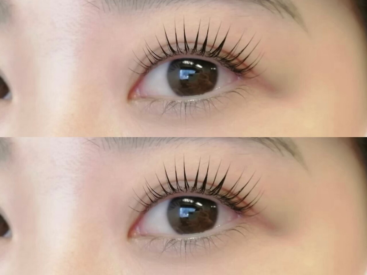 ［リピーター様］まつ毛パーマ/パリジェンヌラッシュリフト