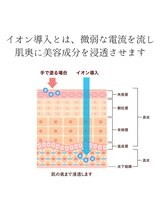 ビズビズ 梅田店(bisebise)/イオン導入とは？