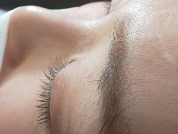 ラシェスキタモト (luscius kitamoto)/まつ毛カール