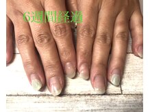 エテル(eterno)/6週間経過