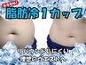 【初めての方におすすめ】ウェストシェイプ♪脂肪冷却1カップ×20分　