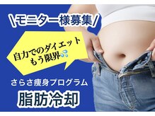 ナチュラル ビューティー スタイル さらさ(Natural Beauty Style)