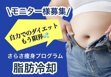 ナチュラル ビューティー スタイル さらさ(Natural Beauty Style)