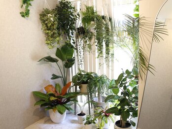 マホロバ セカンド(mahoroba 2nd)/mahoroba（マホロバ）２nd