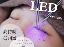 ルピドルジュ(le.pidorge)