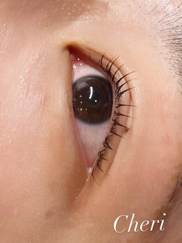 アイラッシュ シェリ(cheri)/ラッシュリフト