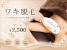 【定番人気】両ワキ脱毛お得価格