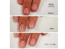 リチェルカ(RICERCA)/