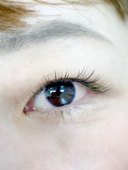 ムニ(muni)/LEDフラットラッシュ120本