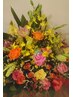【6/14(土)11時又は14時来店限定☆】アロマリンパドレナージュ120分￥8280