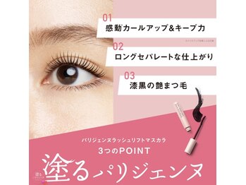 キャレモア(CARRE MORE)/数量限定