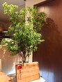 えん発酵温熱木浴 梅田店 えん スタッフ
