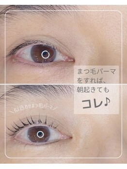 プラスグラッツ 恵比寿(+glatt)/いかさしロッド