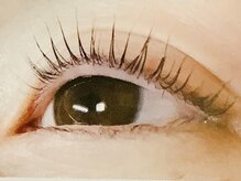 チェリーブロッサム(Cherry Blossom.)