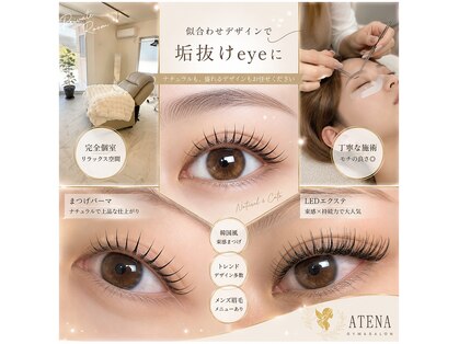 アテナ(ATENA)の写真