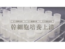 ヒト幹細胞専門店 ビューティークリニカル/本生！ヒト幹細胞培養上清液