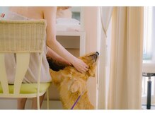 ソピアー(SOPIAH)の雰囲気（看板犬セロイがおります。犬が苦手な方は事前にお知らせください）