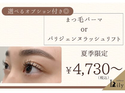 リリー(Lily)の写真