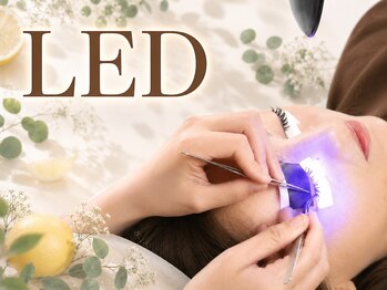 ビューティーサロン ココ 可児店(COCO)の写真/9月導入決定★LEDマツエク!自まつげの向きが変わりやすい方へ、持続UPの秘策を◎