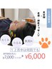 〈12月限定〉美容鍼×首肩・頭皮マッサージ60分¥7.000→¥6.000