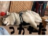 夏の疲れにゆっくり揉みほぐし90分6600円から