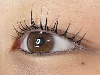 ウルカ アイラッシュ(uruka EYELASH)/ラッシュリフト