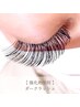 強化剤使用 / ダークラッシュ ≫ 80束￥9500 / 100束￥10500