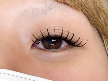 プリン(purin.)/Wフラットラッシュ