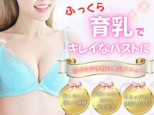 わいわい柳川院