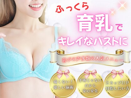 わいわい柳川院の写真
