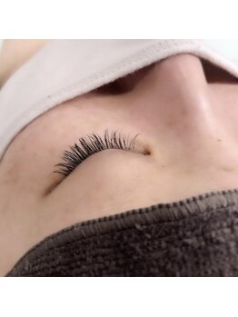 アイラッシュサロン ヴァイオレット(Violet)/フラット　ナチュラル