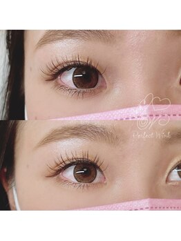 パーフェクトウィンク 新所沢店(PerfectWink)/丸目デザイン