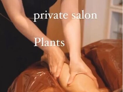 プランツ(Plants)の写真