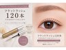 【モチUP】フラットラッシュ120本+コーティング剤付き
