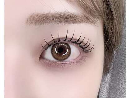 アルミュール(armure)の写真