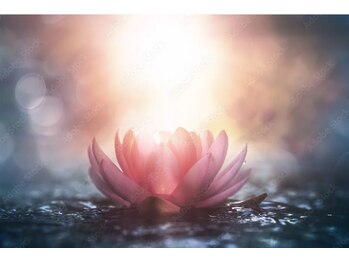 ロータスツリー(LOTUS TREE)/