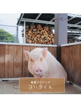 西方の湯&nbsp;看板ブタ こはく