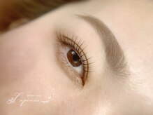 ルピナス(Lupinus)