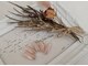 ネイルサロン アミティエ(Nail Salon Amitie)の写真