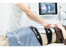 テセラ(TESELA)/【電磁パルス痩身】お腹