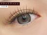 【新素材フラットラッシュ100本】　