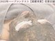 メゾン ド エム(maison de M)の写真